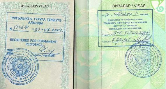 прописка в Кольчугино
